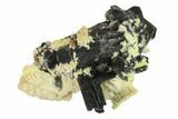 Black Tourmaline (Schorl) Crystals with Orthoclase - Namibia #132226-1